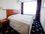 Двухместный номер с 1 кроватью люкс