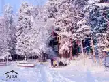 Семейный номер таунхаус боровичок