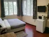 Двухместный номер с 1 кроватью эконом