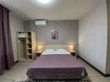 Двухместный номер с 1 кроватью Стандарт с доп местом