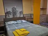 Двухместный номер с 1 кроватью стандарт со своим санузлом