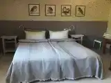 Двухместный номер с 1 кроватью