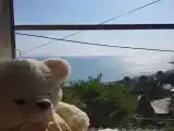 Семейный номер люкс с видом на море