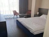 Двухместный номер с 1 кроватью стандарт с видом на город