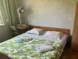 Двухместный номер с 1 кроватью эконом