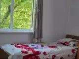 Трёхместный номер эконом с видом на горы