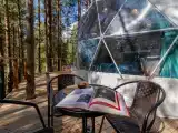 Четырёхместный номер купол Петроглифы