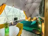 Четырёхместный номер в лесу