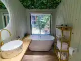 Четырёхместный номер можжевеловая роща