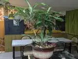 Семейный номер трёхкомнатный