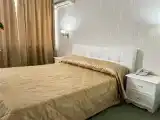 Двухместный номер с 1 кроватью Праздничный