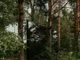 Дом зеркальный баус с купелью