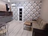 Четырёхместный номер 1-комнатная квартира, кухня гостиная и спальня