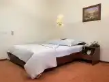 Двухместный номер с 1 кроватью стандарт с балконом