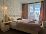 Двухместный номер с 1 кроватью twin Room/Double Room