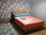 Двухместный номер с 1 кроватью эконом