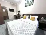 Двухместный номер с 1 кроватью эконом