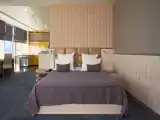Двухместный номер с 1 кроватью делюкс панорамный