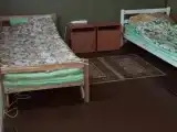Трёхместный номер стандарт с видом на лес