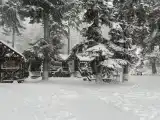 Семейный номер стандарт