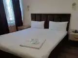 Двухместный номер с 1 кроватью стандарт с видом на горы