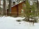 Семейный номер стандарт с видом на лес