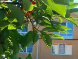 Двухместный номер с 1 кроватью стандарт
