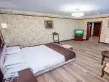 Двухместный номер с 1 кроватью Люкс