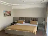 Двухместный номер с 1 кроватью Студия
