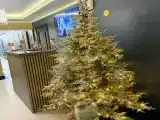 Двухместный номер с 1 кроватью  стандарт