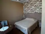 Двухместный номер с 1 кроватью стандарт double (дабл)