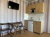 Двухместный номер с 1 кроватью Стандарт 2-х местный с кухней в номере