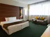 Двухместный номер с 1 кроватью студия