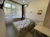 Двухместный номер с 1 кроватью делюкс