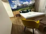 Двухместный номер с 1 кроватью 3