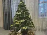 Одноместный номер стандарт