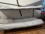 Многоместный женский номер 6-ти местный женский