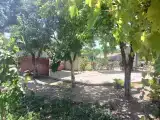 Трёхместный номер эконом