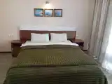 Двухместный номер с 1 кроватью стандарт с двуспальной кроватью