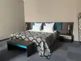 Двухместный номер с 1 кроватью бизнес