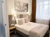 Двухместный номер с 1 кроватью Полулюкс