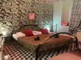 Двухместный номер с 1 кроватью люкс