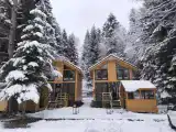 Семейный номер стандарт с видом на лес