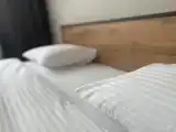 Двухместный номер с 1 кроватью люкс Лес