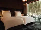 Двухместный номер с 2 отдельными кроватями Шале Premium Duplex Twin