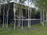 Отдельный дом Зеркальный Лес