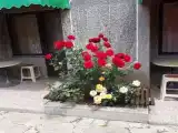 Двухместный номер с 2 отдельными кроватями Двух местный стандарт