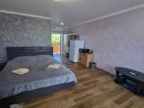 Четырёхместный номер Однокомнатный люкс с балконом и видом на бассейн