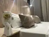 Двухместный номер с 1 кроватью Стандарт 104