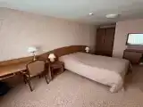 Двухместный номер с 1 кроватью люкс деловой